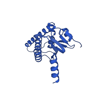 38537_8xop_A_v1-0
Cryo-EM structure of ClpP1P2 in complex with ADEP1 from Streptomyces hawaiiensis