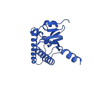 38537_8xop_B_v1-0
Cryo-EM structure of ClpP1P2 in complex with ADEP1 from Streptomyces hawaiiensis