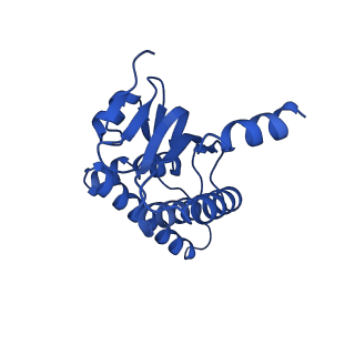 38537_8xop_C_v1-0
Cryo-EM structure of ClpP1P2 in complex with ADEP1 from Streptomyces hawaiiensis