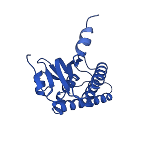 38537_8xop_D_v1-0
Cryo-EM structure of ClpP1P2 in complex with ADEP1 from Streptomyces hawaiiensis