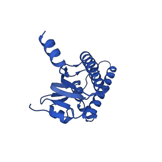 38537_8xop_E_v1-0
Cryo-EM structure of ClpP1P2 in complex with ADEP1 from Streptomyces hawaiiensis