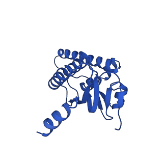 38537_8xop_G_v1-0
Cryo-EM structure of ClpP1P2 in complex with ADEP1 from Streptomyces hawaiiensis