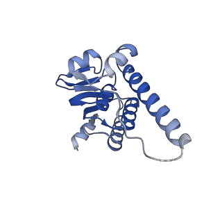 38537_8xop_H_v1-0
Cryo-EM structure of ClpP1P2 in complex with ADEP1 from Streptomyces hawaiiensis