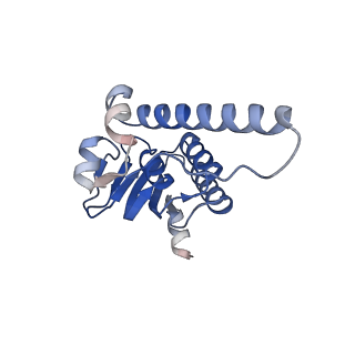 38537_8xop_I_v1-0
Cryo-EM structure of ClpP1P2 in complex with ADEP1 from Streptomyces hawaiiensis