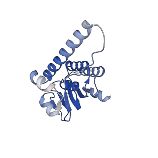 38537_8xop_J_v1-0
Cryo-EM structure of ClpP1P2 in complex with ADEP1 from Streptomyces hawaiiensis