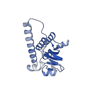 38537_8xop_K_v1-0
Cryo-EM structure of ClpP1P2 in complex with ADEP1 from Streptomyces hawaiiensis