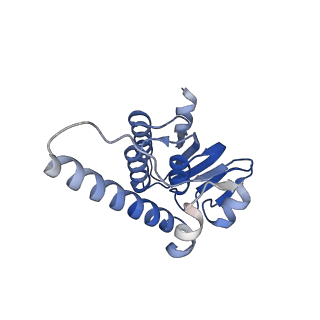 38537_8xop_L_v1-0
Cryo-EM structure of ClpP1P2 in complex with ADEP1 from Streptomyces hawaiiensis