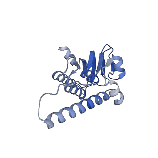 38537_8xop_M_v1-0
Cryo-EM structure of ClpP1P2 in complex with ADEP1 from Streptomyces hawaiiensis