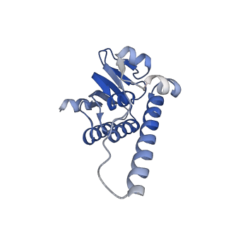 38537_8xop_N_v1-0
Cryo-EM structure of ClpP1P2 in complex with ADEP1 from Streptomyces hawaiiensis