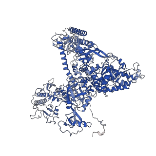 6747_5xon_A_v1-2
RNA Polymerase II elongation complex bound with Spt4/5 and TFIIS