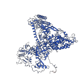 6747_5xon_A_v1-3
RNA Polymerase II elongation complex bound with Spt4/5 and TFIIS