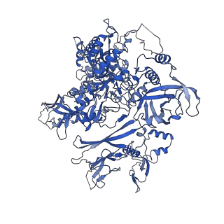 6747_5xon_B_v1-2
RNA Polymerase II elongation complex bound with Spt4/5 and TFIIS