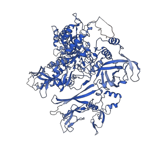 6747_5xon_B_v1-3
RNA Polymerase II elongation complex bound with Spt4/5 and TFIIS