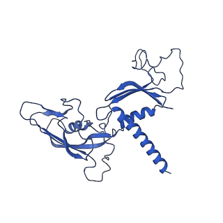 6747_5xon_C_v1-2
RNA Polymerase II elongation complex bound with Spt4/5 and TFIIS