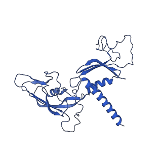 6747_5xon_C_v1-3
RNA Polymerase II elongation complex bound with Spt4/5 and TFIIS