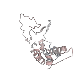 6747_5xon_D_v1-3
RNA Polymerase II elongation complex bound with Spt4/5 and TFIIS