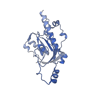 6747_5xon_E_v1-2
RNA Polymerase II elongation complex bound with Spt4/5 and TFIIS