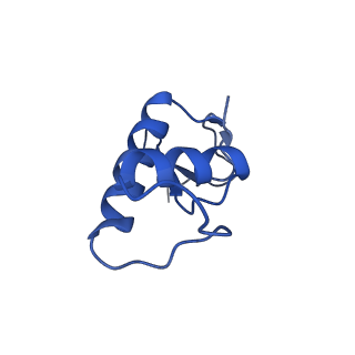 6747_5xon_F_v1-2
RNA Polymerase II elongation complex bound with Spt4/5 and TFIIS