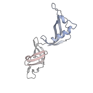 6747_5xon_G_v1-2
RNA Polymerase II elongation complex bound with Spt4/5 and TFIIS