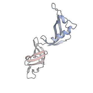 6747_5xon_G_v1-3
RNA Polymerase II elongation complex bound with Spt4/5 and TFIIS