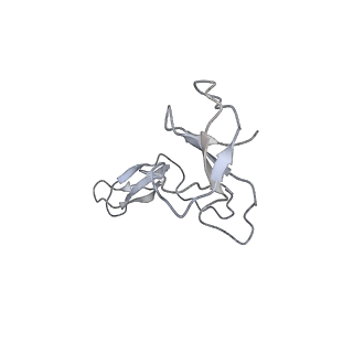 6747_5xon_I_v1-3
RNA Polymerase II elongation complex bound with Spt4/5 and TFIIS