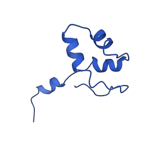 6747_5xon_J_v1-2
RNA Polymerase II elongation complex bound with Spt4/5 and TFIIS