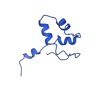 6747_5xon_J_v1-3
RNA Polymerase II elongation complex bound with Spt4/5 and TFIIS