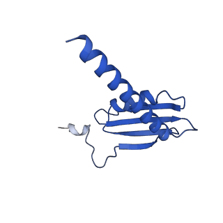 6747_5xon_K_v1-2
RNA Polymerase II elongation complex bound with Spt4/5 and TFIIS