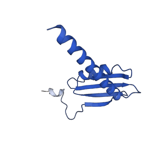 6747_5xon_K_v1-3
RNA Polymerase II elongation complex bound with Spt4/5 and TFIIS