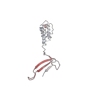 6747_5xon_U_v1-2
RNA Polymerase II elongation complex bound with Spt4/5 and TFIIS