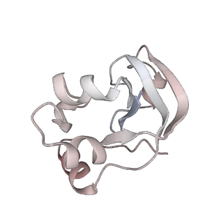 6747_5xon_V_v1-2
RNA Polymerase II elongation complex bound with Spt4/5 and TFIIS
