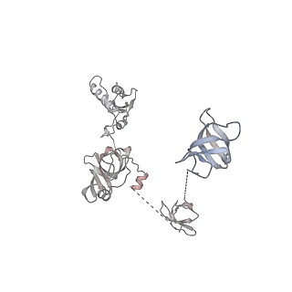 6747_5xon_W_v1-2
RNA Polymerase II elongation complex bound with Spt4/5 and TFIIS