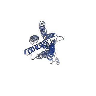 22285_6xpd_B_v1-2
Cryo-EM structure of human ZnT8 double mutant - D110N and D224N, determined in outward-facing conformation