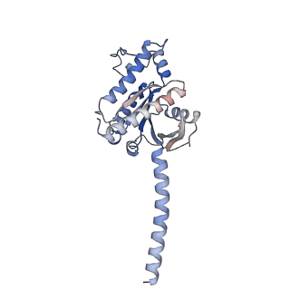 33364_7xp4_A_v1-0
Cryo-EM structure of a class T GPCR in apo state