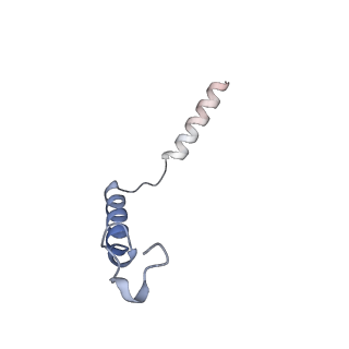 33364_7xp4_G_v1-0
Cryo-EM structure of a class T GPCR in apo state