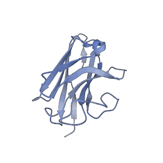 33364_7xp4_N_v1-0
Cryo-EM structure of a class T GPCR in apo state