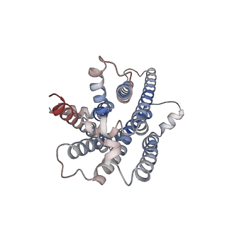 33364_7xp4_R_v1-0
Cryo-EM structure of a class T GPCR in apo state