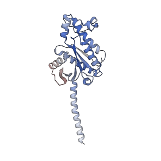 33365_7xp5_A_v1-0
Cryo-EM structure of a class T GPCR in ligand-free state