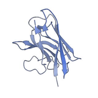 33365_7xp5_N_v1-0
Cryo-EM structure of a class T GPCR in ligand-free state