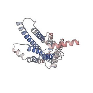 33365_7xp5_R_v1-0
Cryo-EM structure of a class T GPCR in ligand-free state