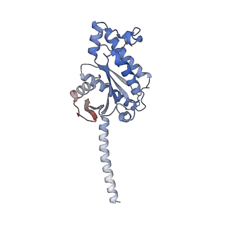 33366_7xp6_A_v1-0
Cryo-EM structure of a class T GPCR in active state