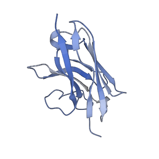 33366_7xp6_N_v1-0
Cryo-EM structure of a class T GPCR in active state