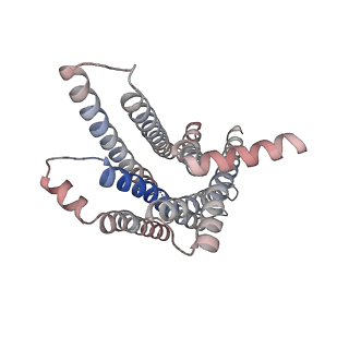 33366_7xp6_R_v1-0
Cryo-EM structure of a class T GPCR in active state