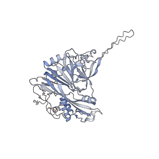 33369_7xpb_C_v1-1
Cryo-EM structure of the T=4 lake sinai virus 2 virus-like capsid at pH 6.5