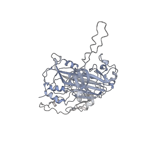 33369_7xpb_D_v1-1
Cryo-EM structure of the T=4 lake sinai virus 2 virus-like capsid at pH 6.5