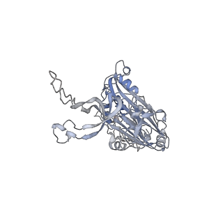 33370_7xpd_B_v1-1
Cryo-EM structure of the T=3 lake sinai virus 2 virus-like capsid at pH 6.5