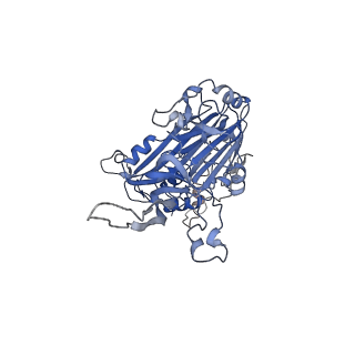 33371_7xpe_A_v1-1
Cryo-EM structure of the T=4 lake sinai virus 2 virus-like capsid at pH 8.5