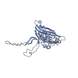 33371_7xpe_D_v1-1
Cryo-EM structure of the T=4 lake sinai virus 2 virus-like capsid at pH 8.5