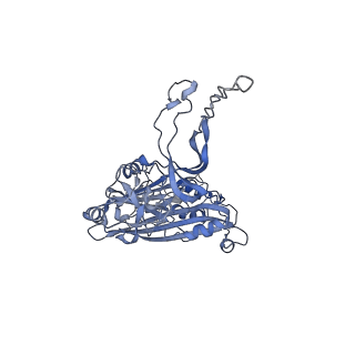 33372_7xpf_C_v1-1
Cryo-EM structure of the T=3 lake sinai virus 2 virus-like capsid at pH 8.5