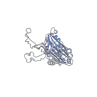 33373_7xpg_B_v1-2
Cryo-EM structure of the T=3 lake sinai virus 1 (delta-N48) virus-like capsid at pH 6.5